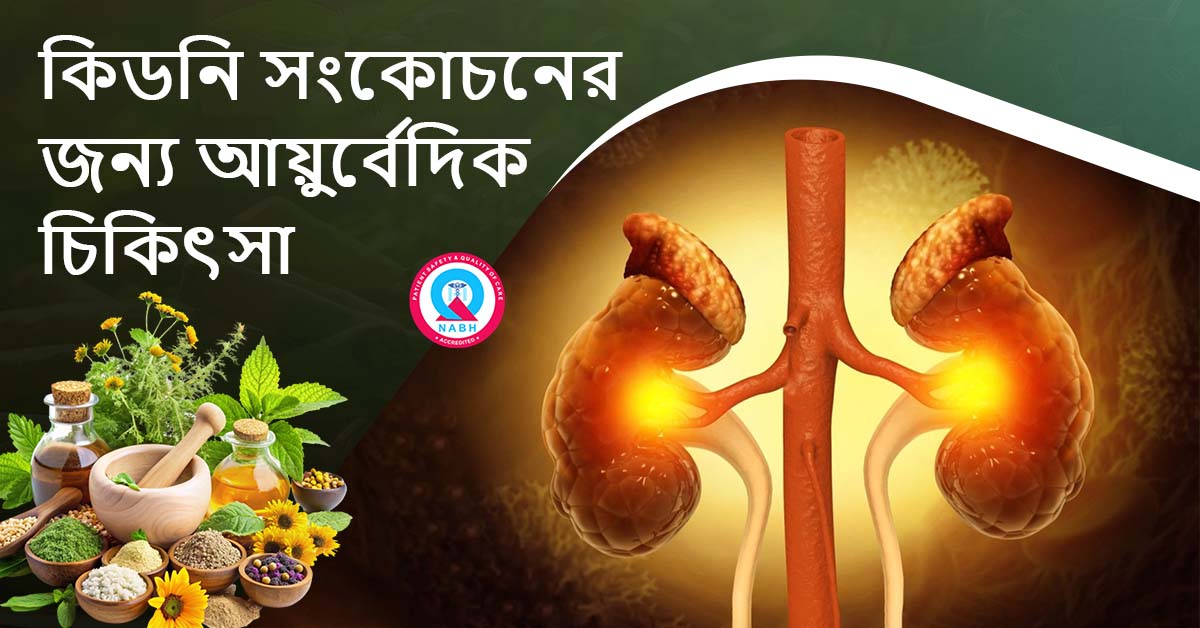 ayurvedic-treatment-for-kidney-shrinkage